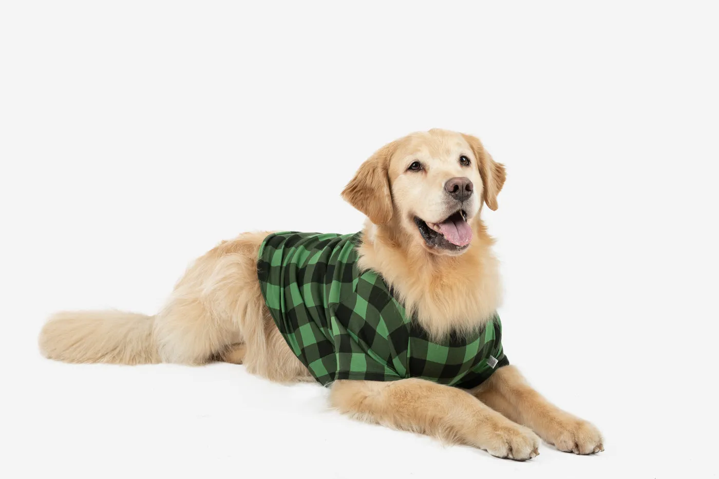 Big Dog Plaid Pajamas