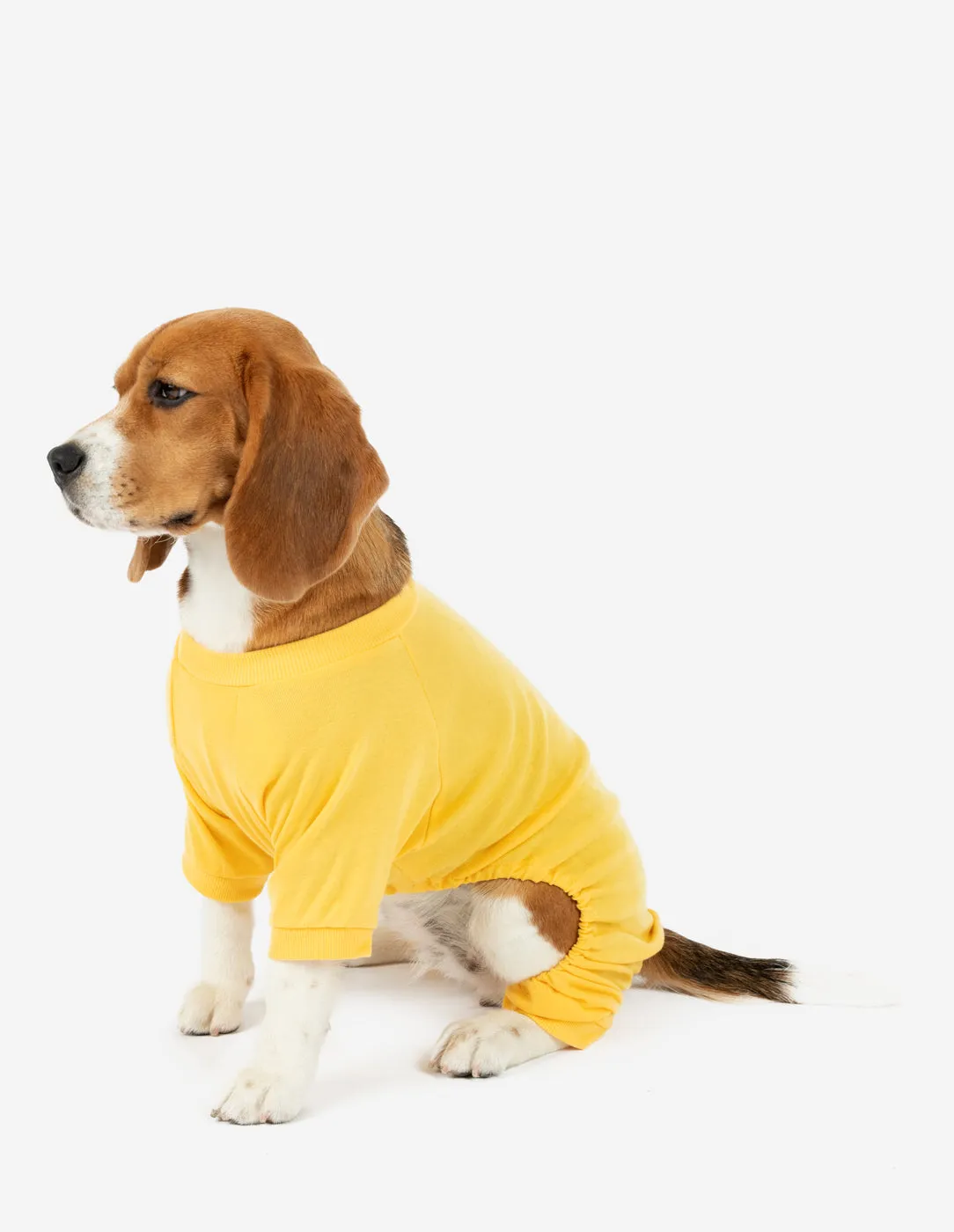 Dogs Solid Color Yellow Pajamas