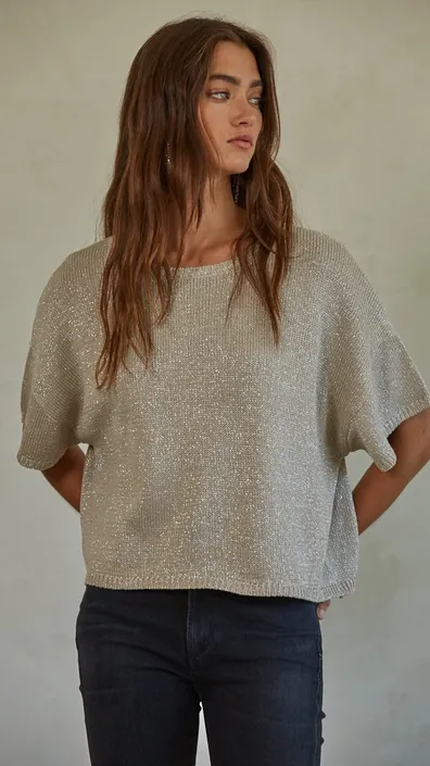 Emmeline Short Sleeve Knit Top in Silver/Grey