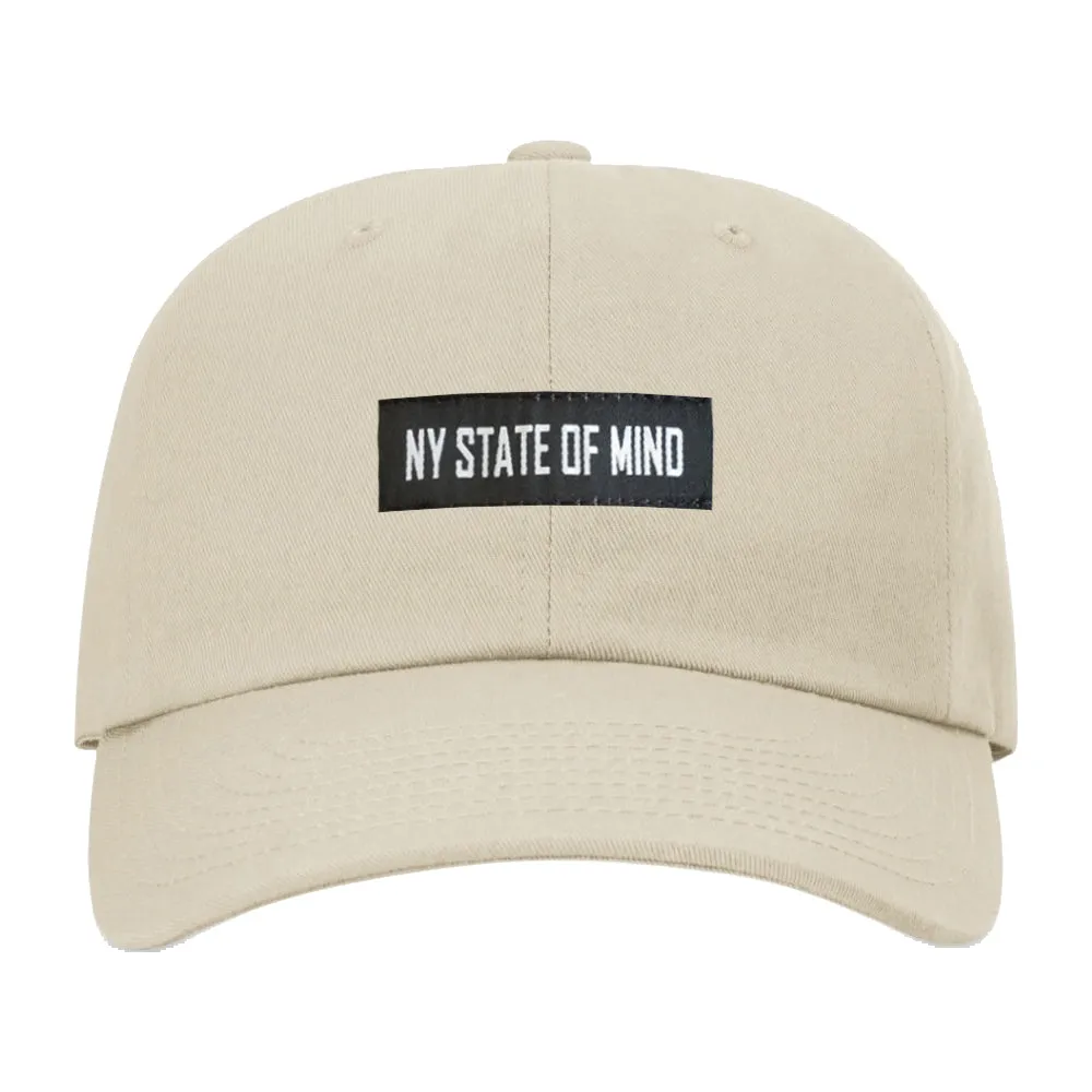 Kids Banner Logo Dad Hat