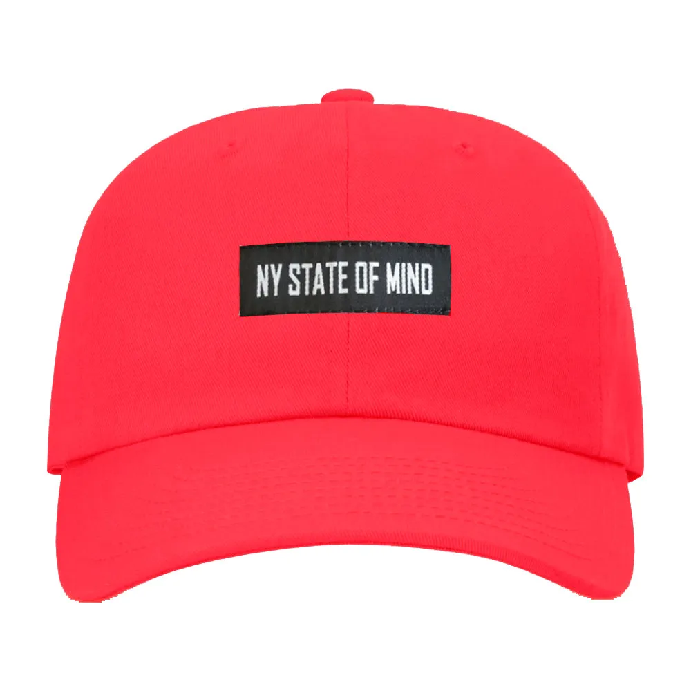 Kids Banner Logo Dad Hat