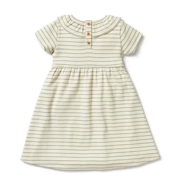 Wilson & Frenchy Petit Sage Organic Ruffle Dress